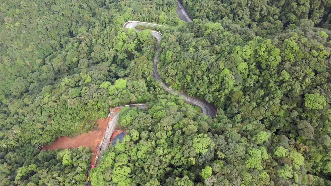 pájaro aéreo volando sobre un camino sinuoso en serra do mar, brasil