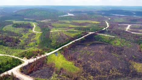 una foto aérea de un avión no tripulado revela el paisaje quemado destruido por los recientes incendios devastadores en quebec, canadá