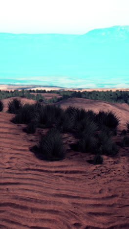 paisaje desértico con plantas y montañas