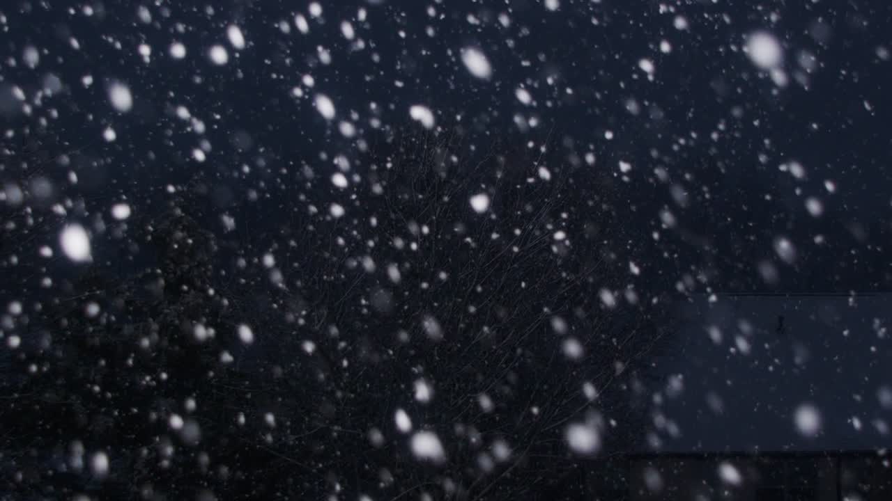 ráfaga lenta de nieve que cae en una tormenta de invierno con una casa y árboles en el fondo