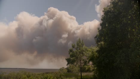 five mile swamp fire in santa rosa county from may 2020