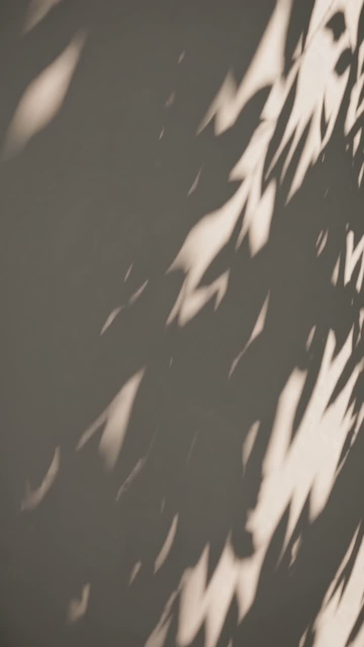 Abstract video concept with soft, blurred shadows on a wall