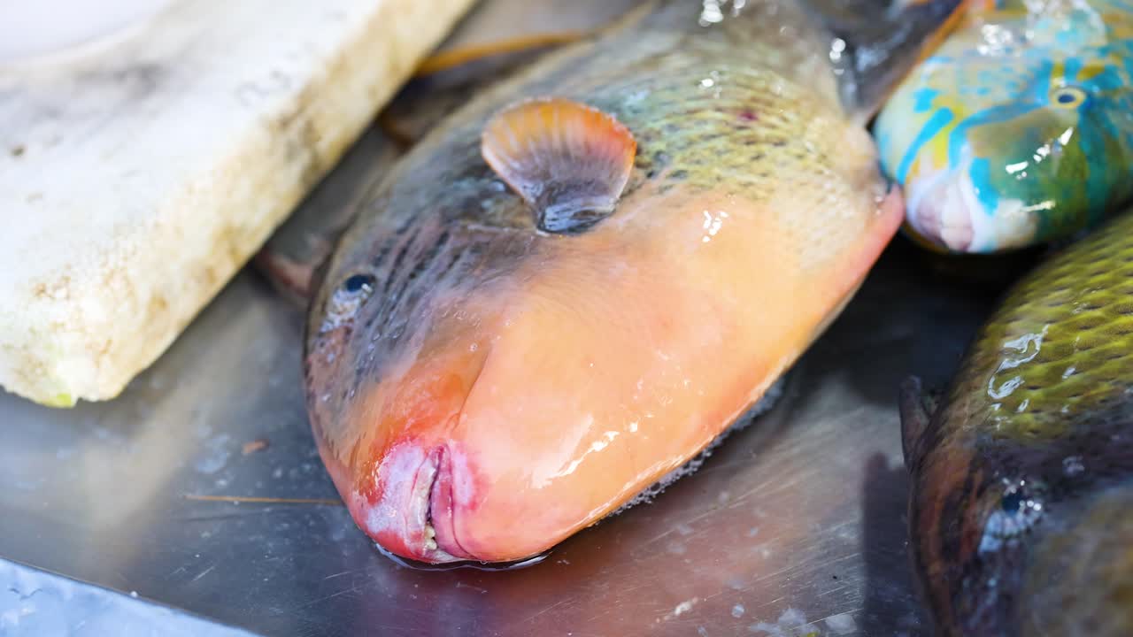 Close-up of colorful Titan Triggerfish displayed on ice at a bustling Phuket market, showcasing vibrant textures and natural lighting