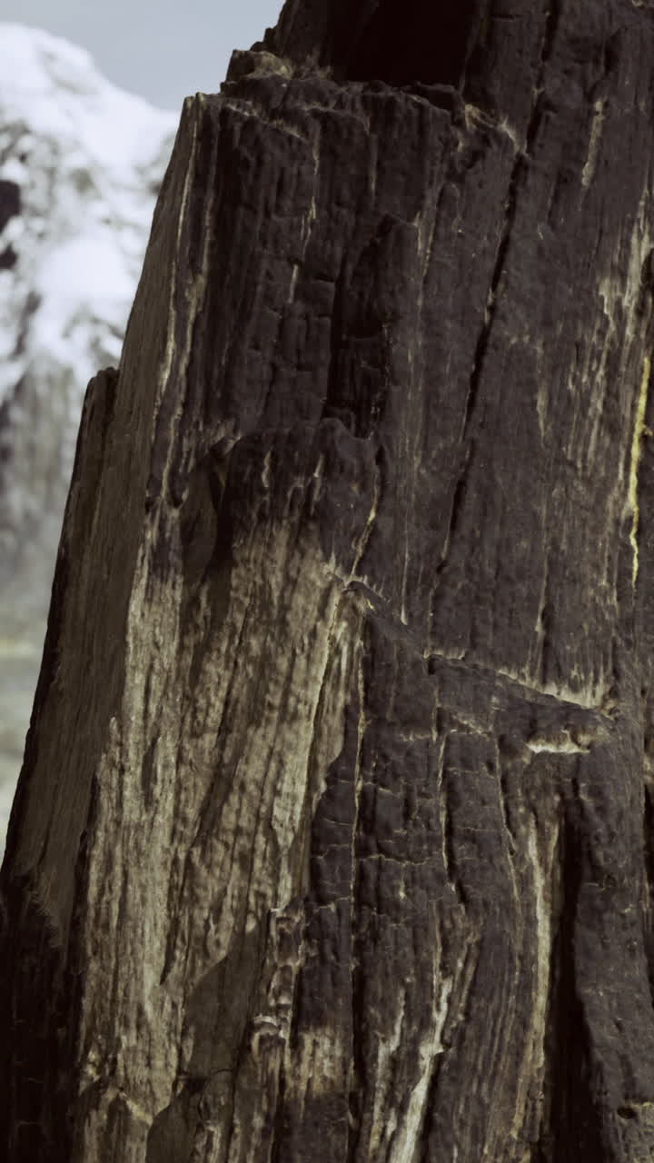 Struttura in legno che mostra le venature in un habitat naturale vicino alle montagne