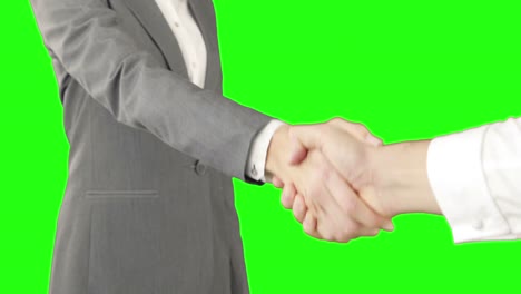 Business-people-handshaking