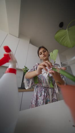 woman taking care of houseplants in kitchen