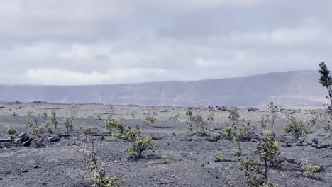 cinematic long lens panning shot of the sparse landscape at the edge of the caldera of the volcano kilauea in hawai'i volcanoes national park