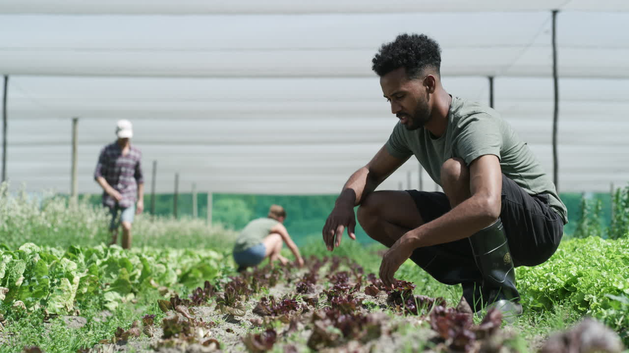 si seguimos arruinando el suelo, ¿dónde cosecharemos?