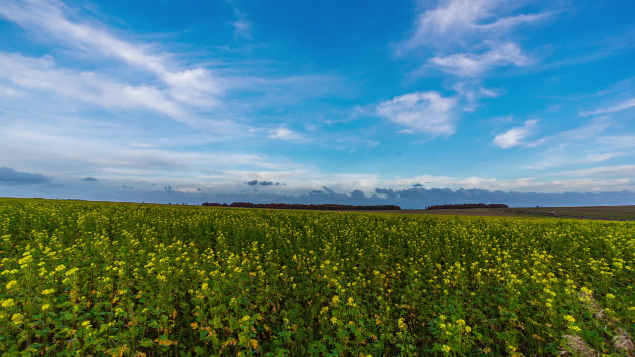 영국의 고대 석조 기념비 스톤헨지 주변 초원의 4k 타임랩스