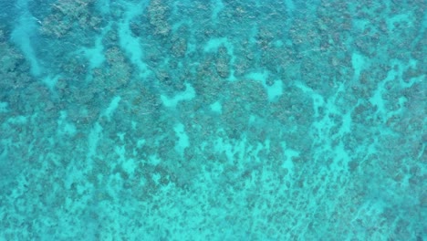 Great-Barrier-Reef-aerial-view-of-coral-reef-and-ocean-waves,-near-Cairns,-Queensland,-Australia