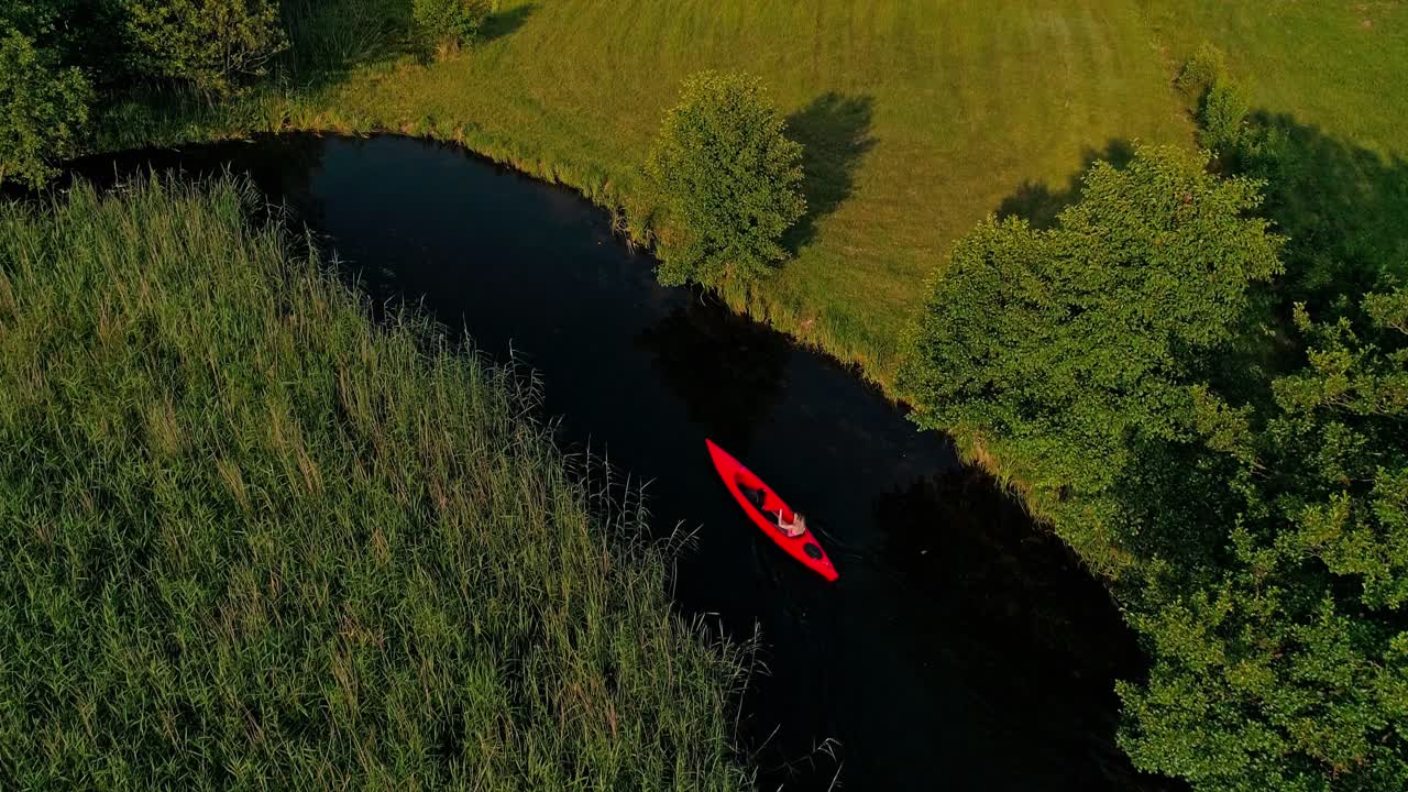 AERIAL: Young Man in in bright Red canoe cruising on clear water river with beautiful rich green nature on a sunny day [4K