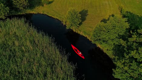 aerial: young man in in bright red canoe cruising on clear water river with beautiful rich green nature on a sunny day [4k