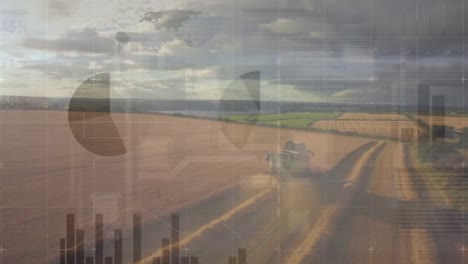 diferentes gráficos y un campo
