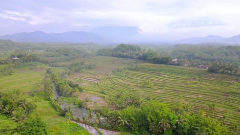 Aerial-view-of-tropical-landscape-with-view-of-rice-field,-river-and-mountain---Stunning-drone-shot