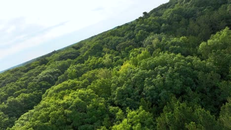 flight point of view tilting and turning from trees to the lake