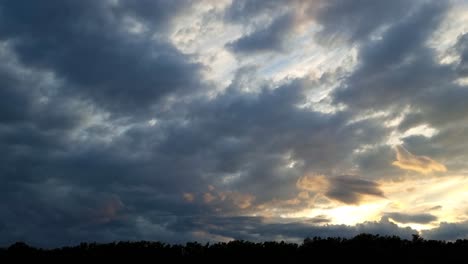 el cielo sobre el bosque después de la lluvia