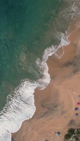 Beach-in-summer,-Mazunte-Oaxaca,-vertical-aerial-view