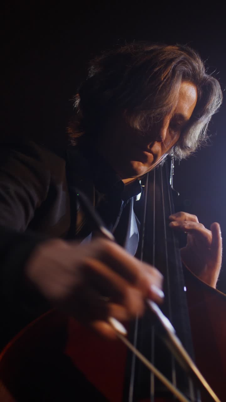 contrabajista en su actuación