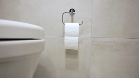 toilet and toilet paper in bathroom