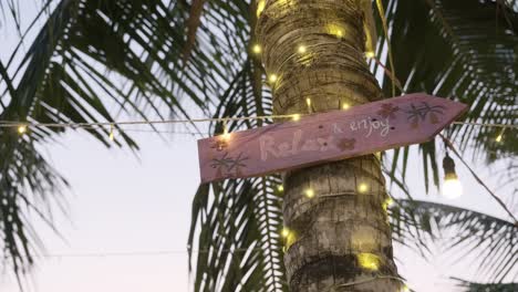 Relax-and-enjoy-wooden-sign-on-palm-tree-decorated-with-light-bulbs