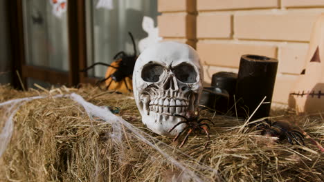 decoración de halloween al aire libre