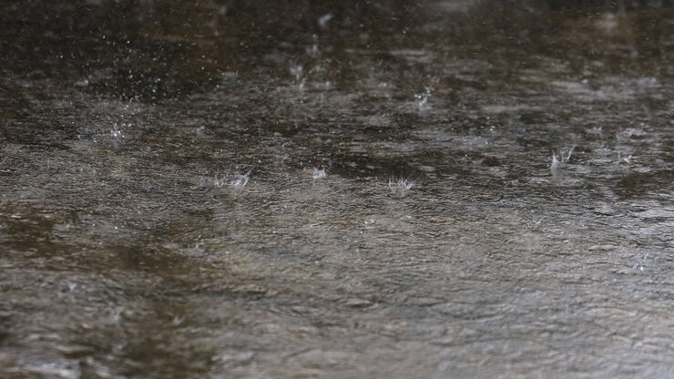 Heavy Rain