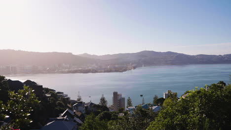 slow motion tilting shot revealing the vast landscape at wellington, new zealand