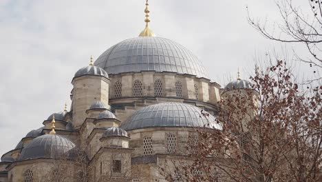 a view of a mosque with multiple domes and gold accents