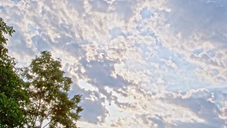 Handheld-shot,-morning-light,-sunny-sky-with-clouds