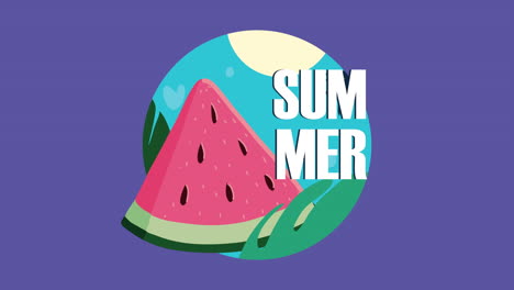 summer watermelon illustration