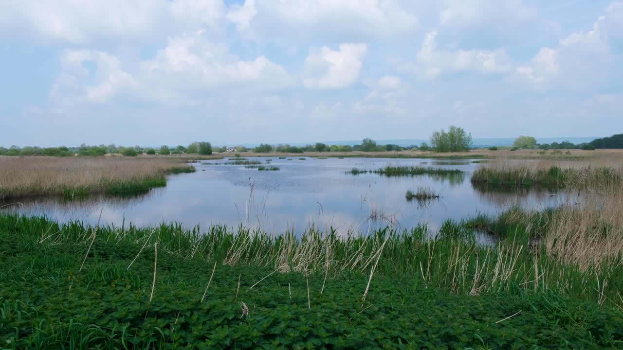 Scenic view of flooded lake environment with reeds on Somerset Levels, West Country of England UK