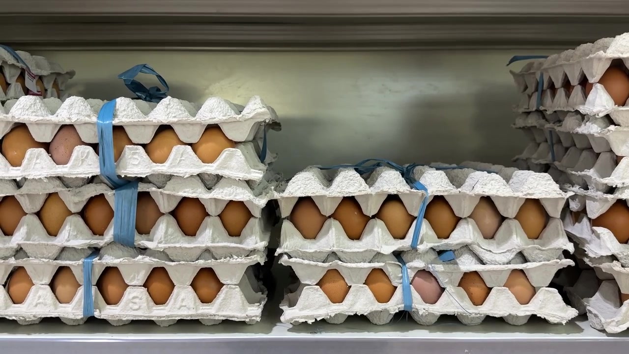 Stapel brauner Eier in Pappkartons im Supermarktregal