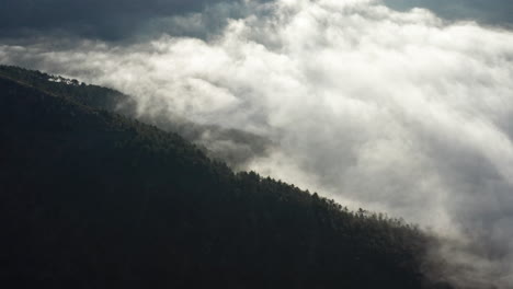 misty clouds rolling over a forested mountain at dawn, creating a serene atmosphere