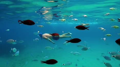 Slow-motion-underwater-scene-of-man-snorkeling-in-blue-tropical-sea-water-with-school-of-fish-swimming-beneath-surface