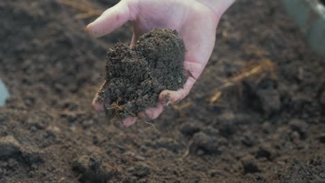 taking sample of soil from the ground in your hand