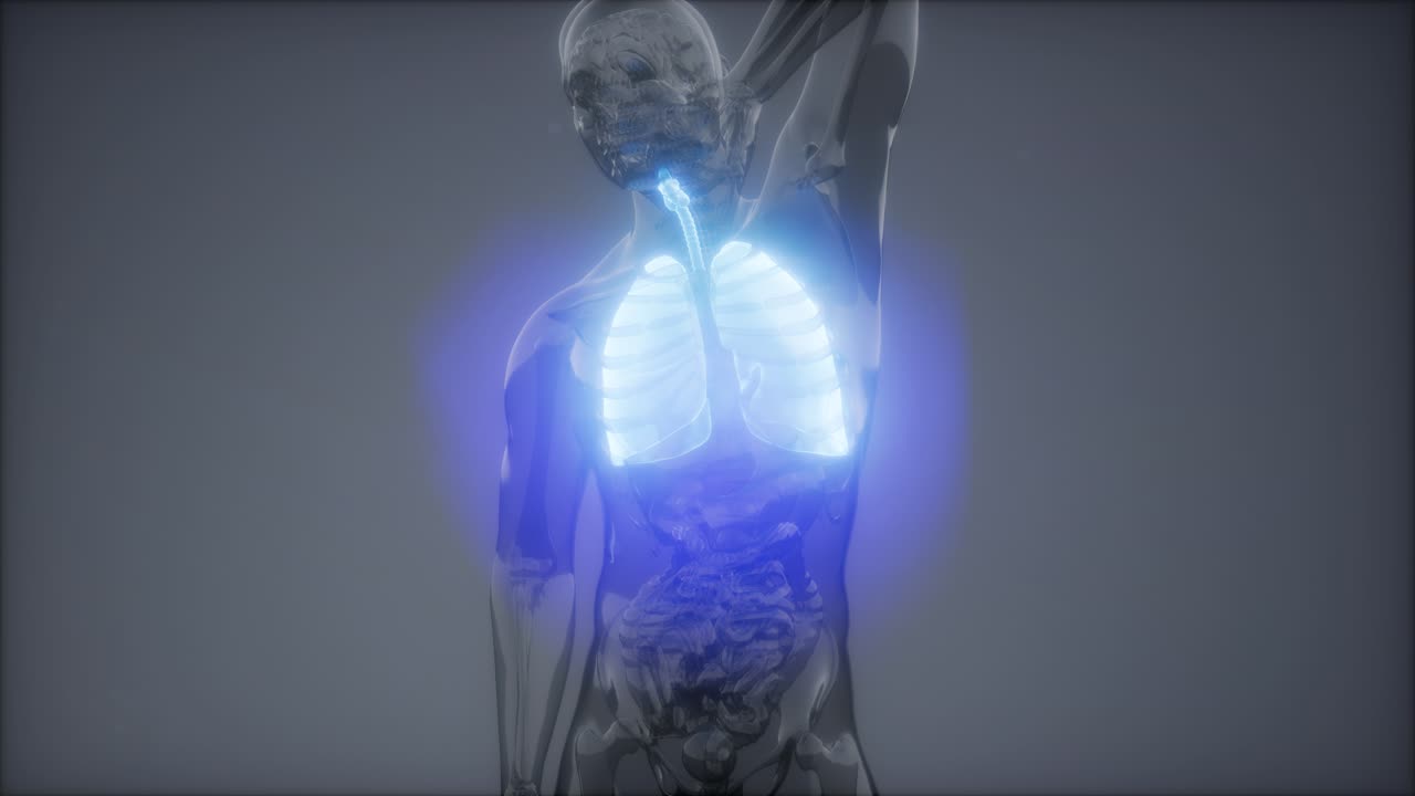 인간의 폐 방사선 검사