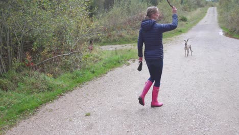 hembra paseadora de perros que lanza el palo