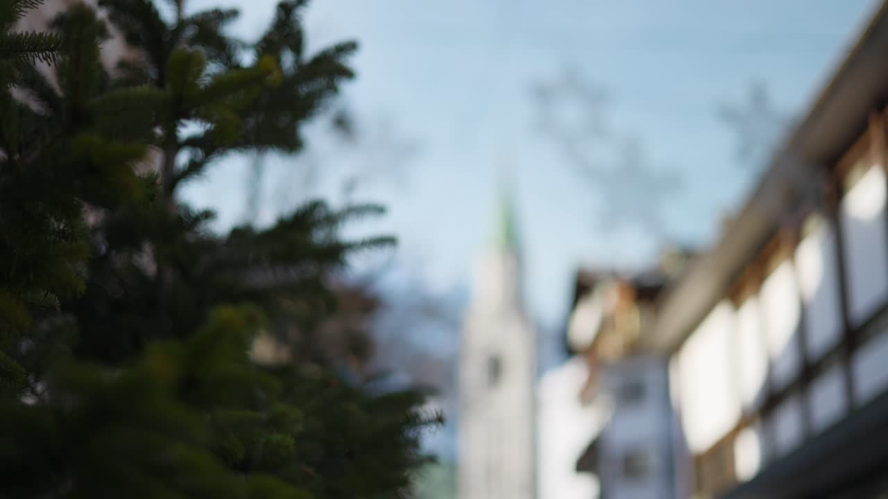 크리스마스 에 윈터 시티 에 있는 소나무 가지 들 의 클로즈업