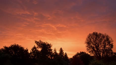 Hermoso-Cielo-Rojo-Más-Allá-De-Los-árboles-Al-Amanecer---Lapso-De-Tiempo