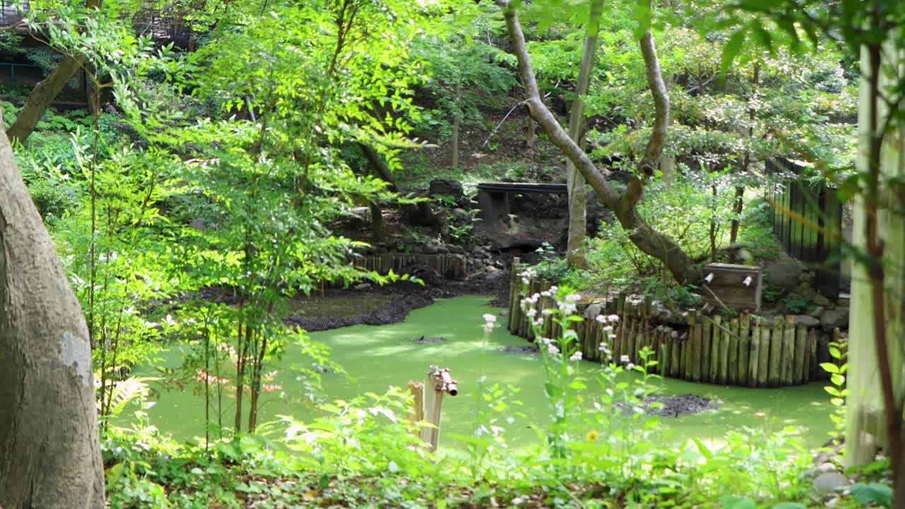 요코하마 최고의 전망