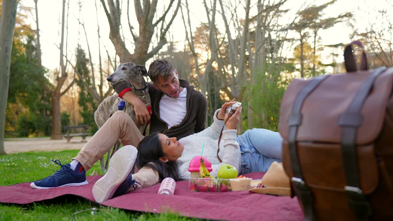 Happy Couple and Their Greyhound Dog Enjoying a Picnic in the Park