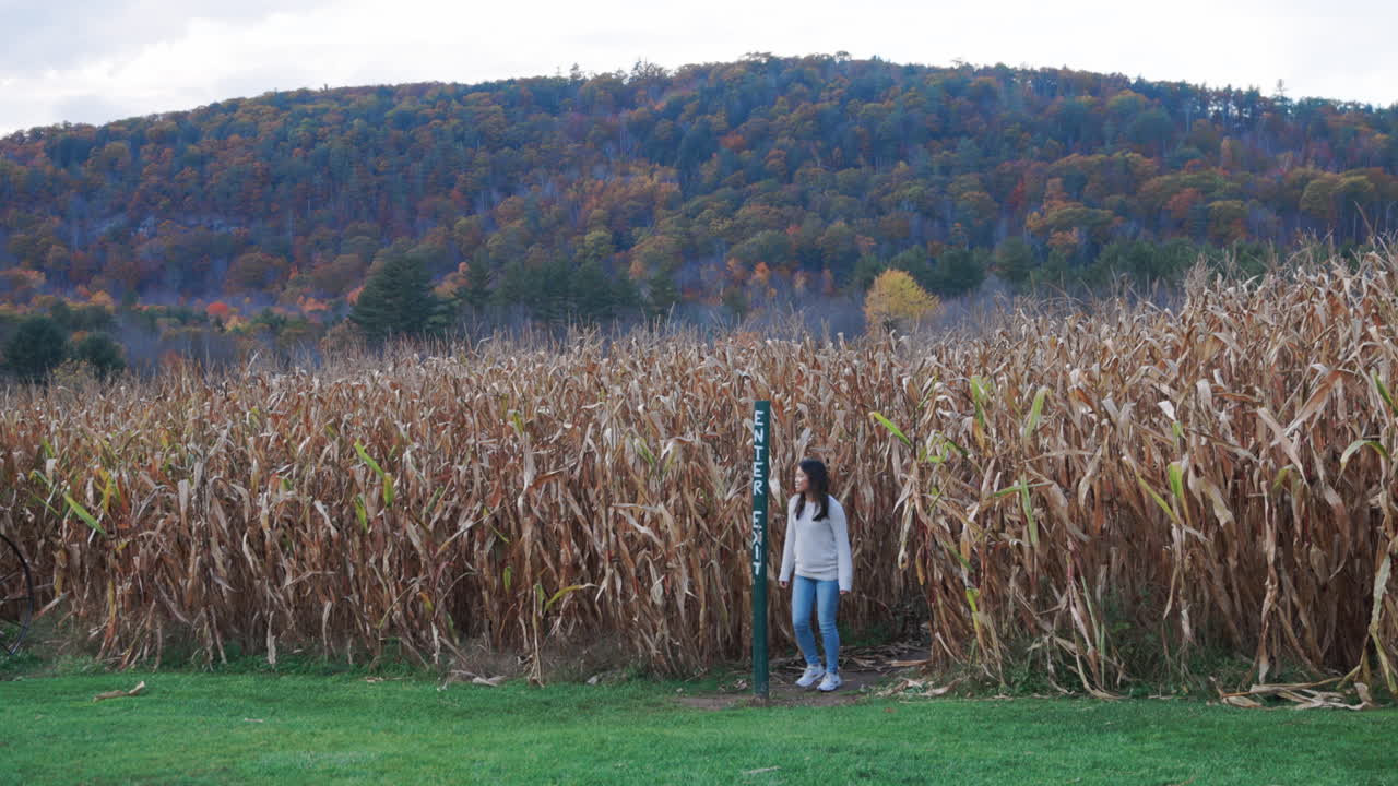 큰 옥수수 미로를 빠져나가는 젊은 여성의 멋진 모습
