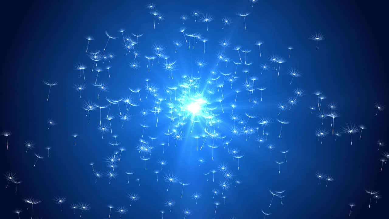 петлевые фоны дующих семян одуванчика. летающие семян одуанчика на фоне