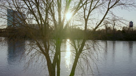 El-Sol-Se-Refleja-En-El-Agua-Y-Brilla-A-Través-De-Un-árbol