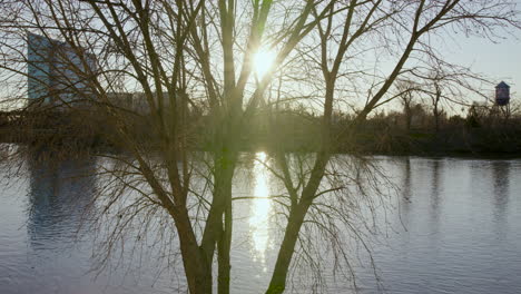 The sun reflects off the the water and shines through a tree