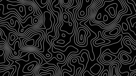 fondo del mapa topográfico abstracto