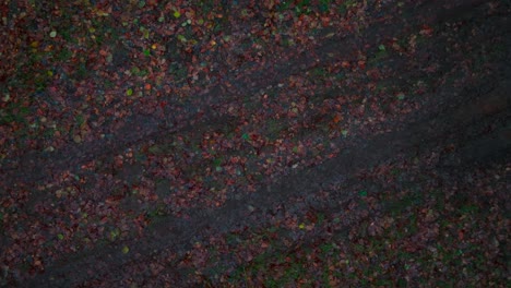vista de pájaro de un vehículo fuera de carretera conduciendo a través de la imagen