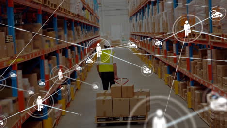 animation of connected icons, caucasian coworkers pulling trolley with cardboard boxes in warehouse