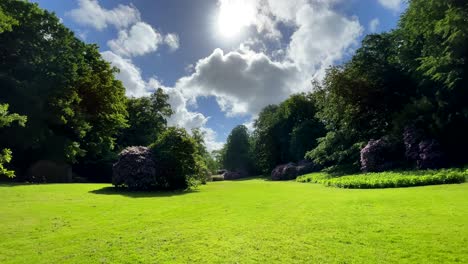 parque paraíso verde en la tierra