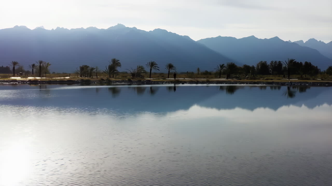 Tranquil Mountain and Palm Tree Reflection over Calm Water